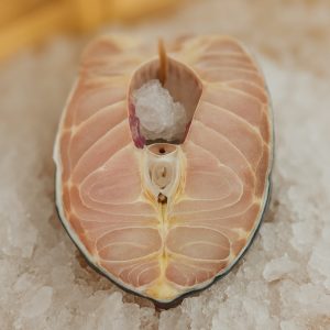 סטייק דג חידקן